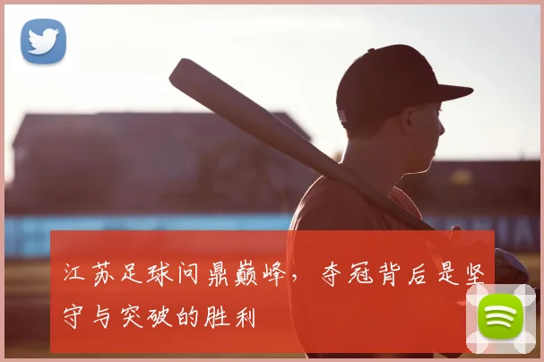 江苏足球问鼎巅峰，夺冠背后是坚守与突破的胜利