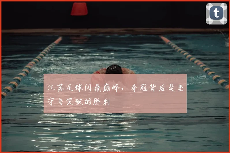 江苏足球问鼎巅峰，夺冠背后是坚守与突破的胜利